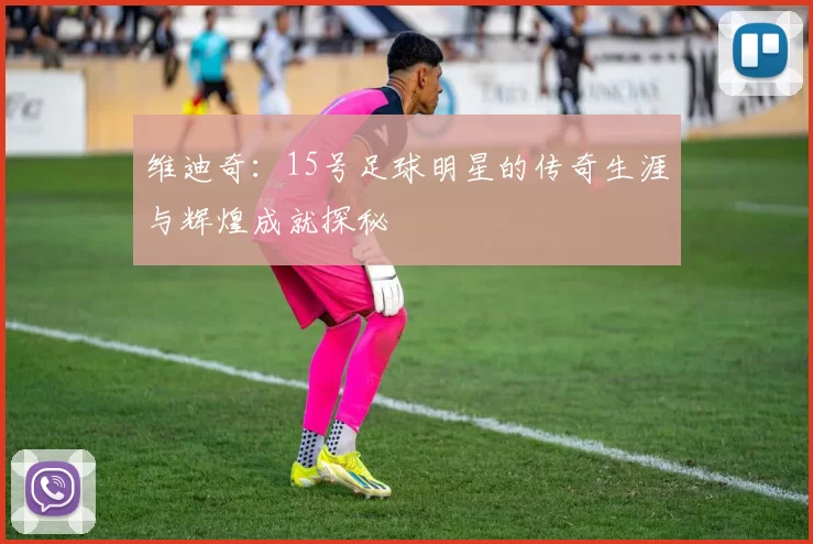 维迪奇：15号足球明星的传奇生涯与辉煌成就探秘