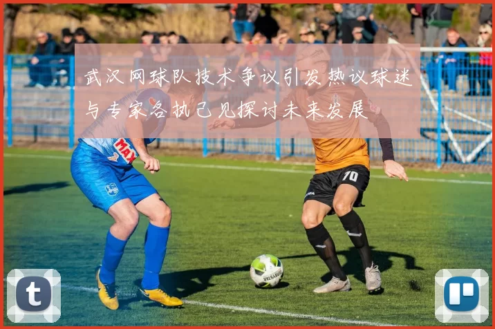武汉网球队技术争议引发热议球迷与专家各执己见探讨未来发展