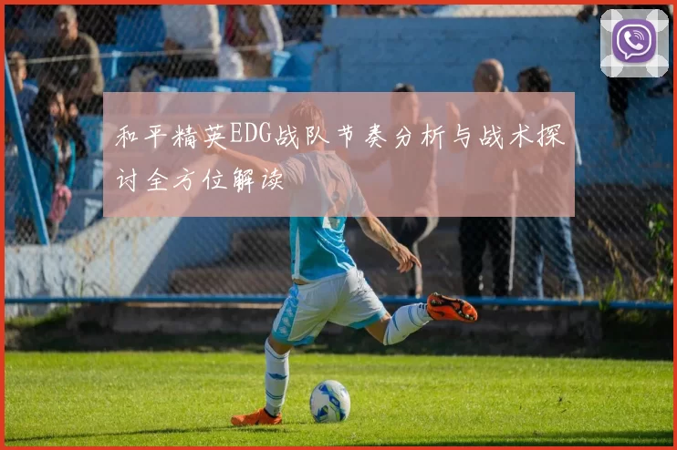 和平精英EDG战队节奏分析与战术探讨全方位解读