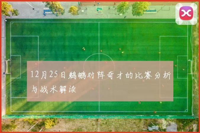 12月25日鹈鹕对阵奇才的比赛分析与战术解读