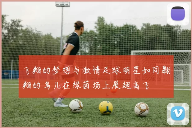 飞翔的梦想与激情足球明星如同翱翔的鸟儿在绿茵场上展翅高飞
