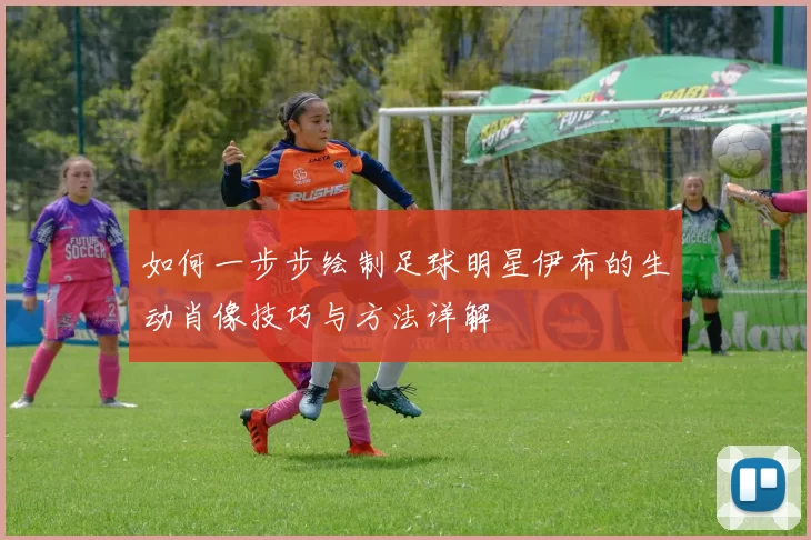 如何一步步绘制足球明星伊布的生动肖像技巧与方法详解