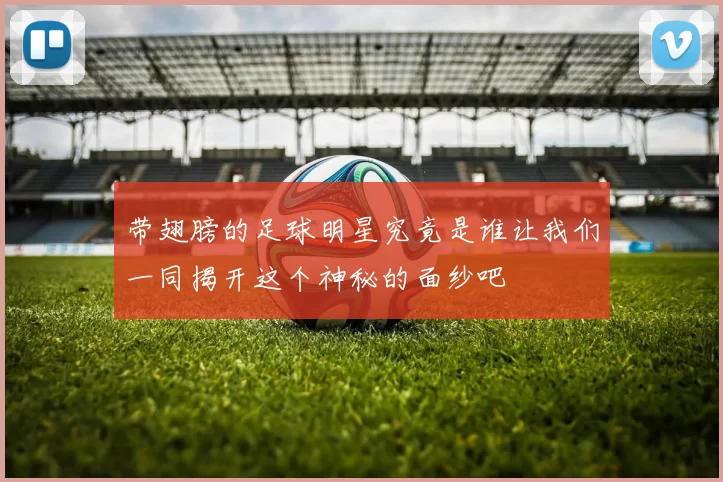 带翅膀的足球明星究竟是谁让我们一同揭开这个神秘的面纱吧