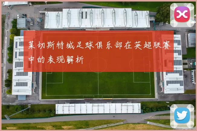 莱切斯特城足球俱乐部在英超联赛中的表现解析
