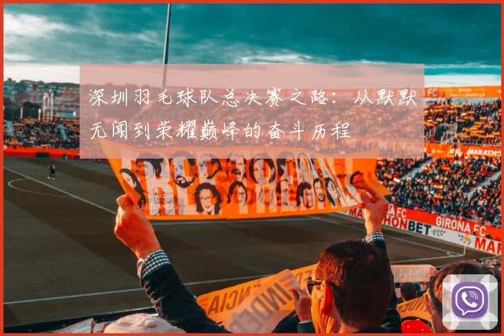 深圳羽毛球队总决赛之路：从默默无闻到荣耀巅峰的奋斗历程