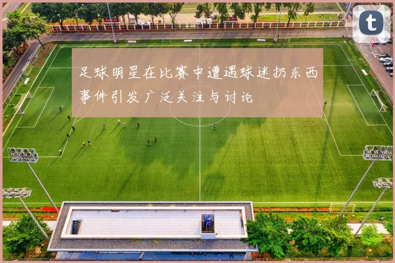 足球明星在比赛中遭遇球迷扔东西事件引发广泛关注与讨论