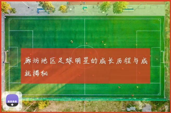 廊坊地区足球明星的成长历程与成就揭秘