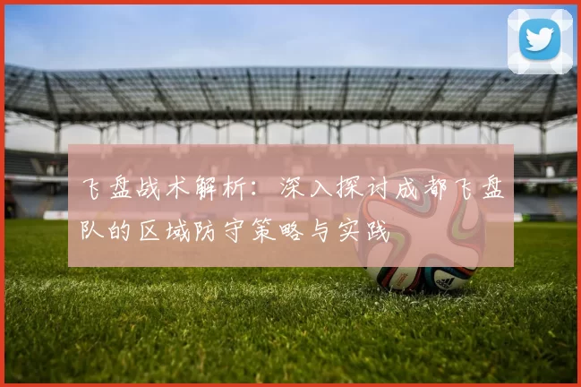 飞盘战术解析：深入探讨成都飞盘队的区域防守策略与实践