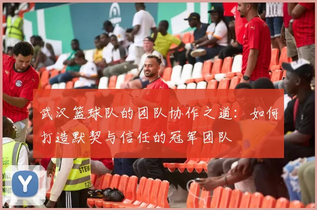 武汉篮球队的团队协作之道：如何打造默契与信任的冠军团队