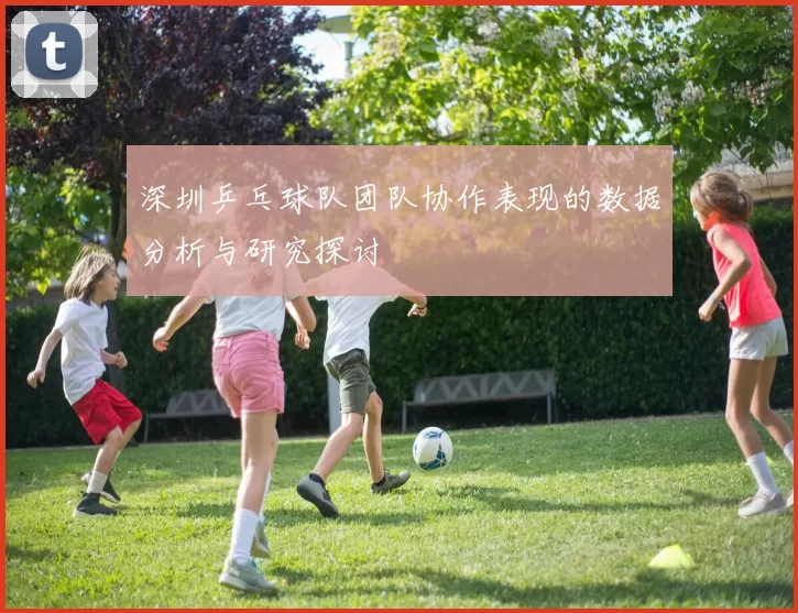 深圳乒乓球队团队协作表现的数据分析与研究探讨