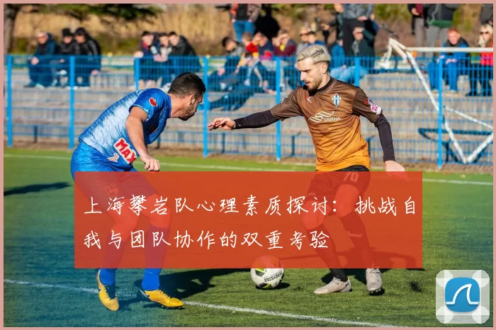 上海攀岩队心理素质探讨：挑战自我与团队协作的双重考验
