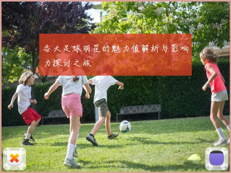 各大足球明星的魅力值解析与影响力探讨之旅
