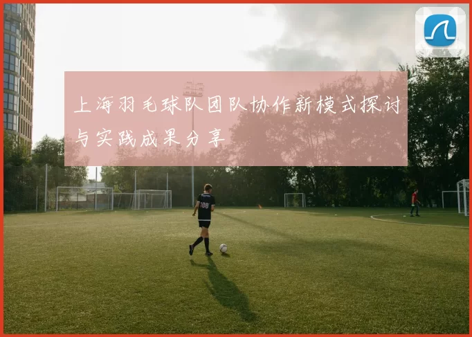 上海羽毛球队团队协作新模式探讨与实践成果分享