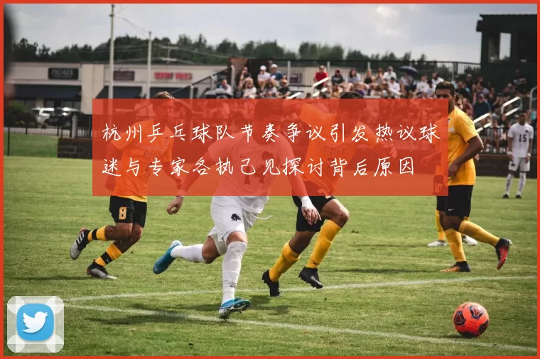 杭州乒乓球队节奏争议引发热议球迷与专家各执己见探讨背后原因